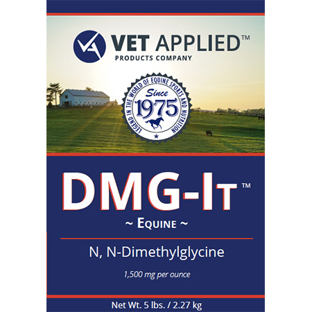 DMG-IT™ Dimethylglycine Supplement