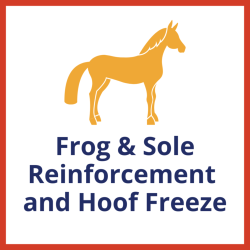 Frog & Sole Reinforcement and Hoof Freeze