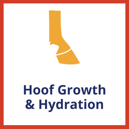 Hoof Growth & Hydration