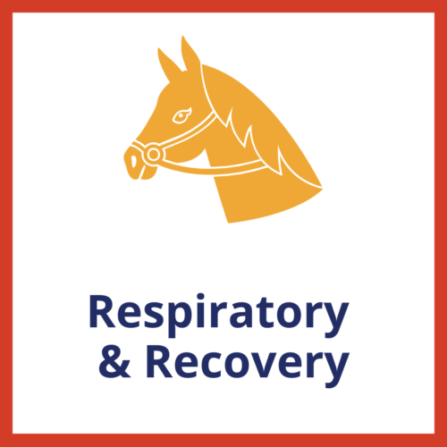 Respiratory & Recovery