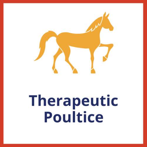 Therapeutic Poultice